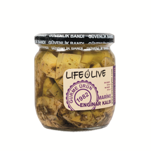 Marine Enginar Kalbi 425 cc Cam Kav